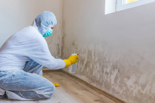 Hvac And Air Duct Mold Remediation inspection of HVAC system in Gladstone