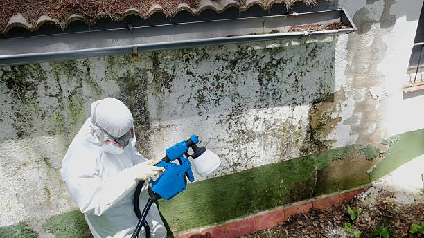 Mold Removal service in Gladstone